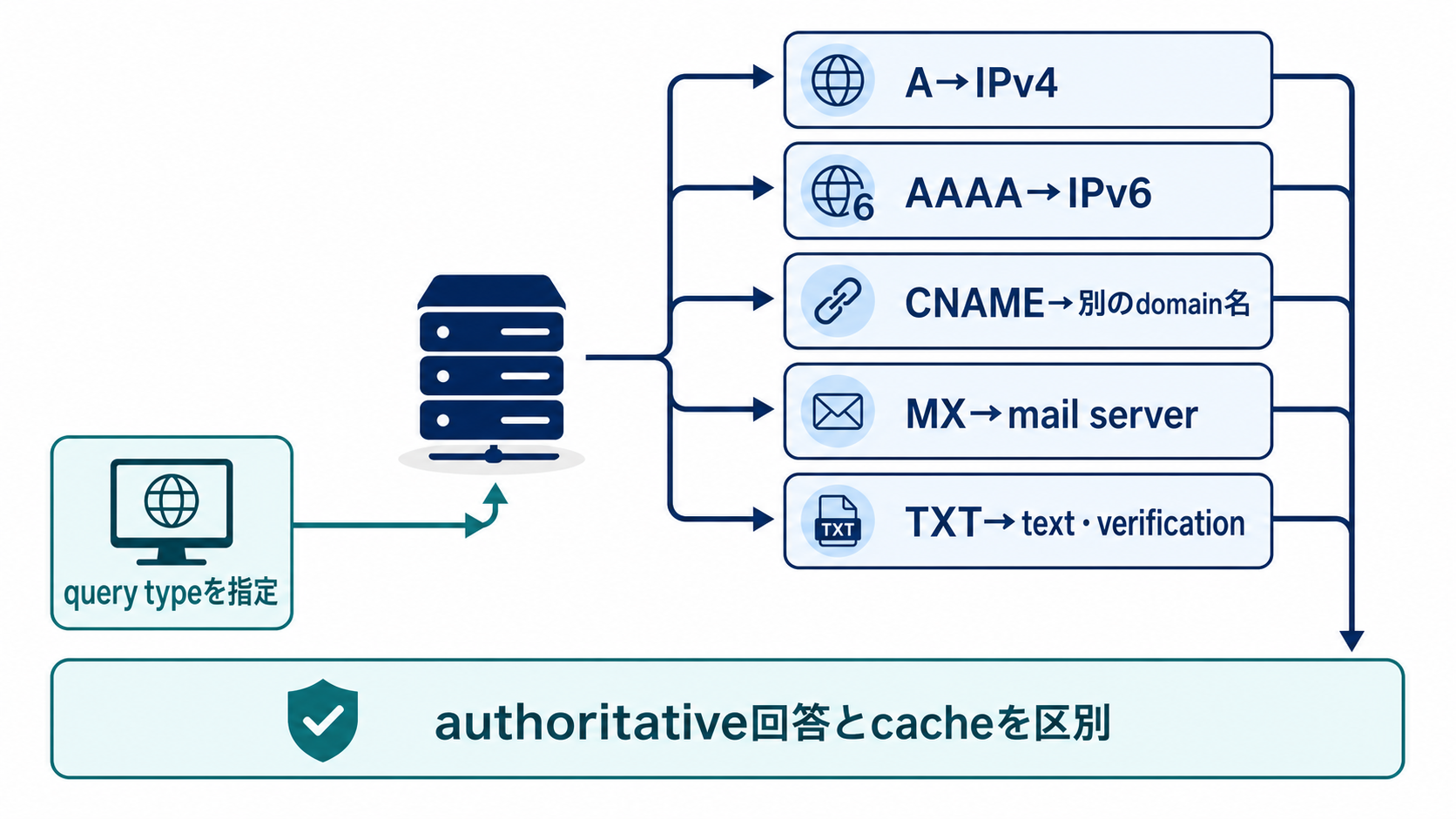 recursive resolverへquery typeを指定し、AはIPv4、AAAAはIPv6、CNAMEは別のdomain名、MXはmail server、TXTはtext・verificationとして並列確認し、authoritative回答とcacheを区別する図